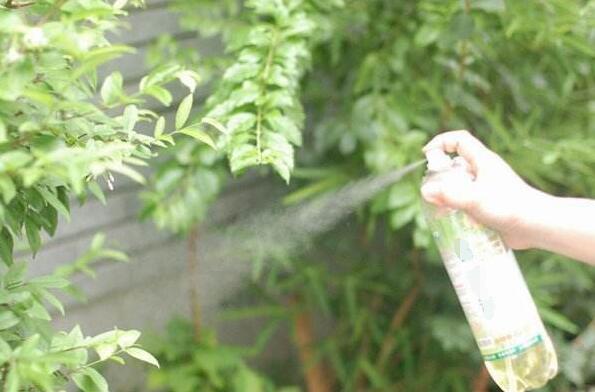 The Safety of Insecticide Spray
