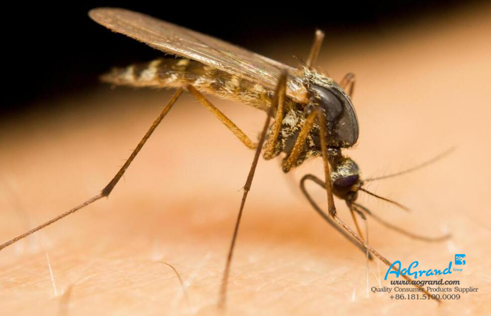 How Do Mosquitos Find Their Target?